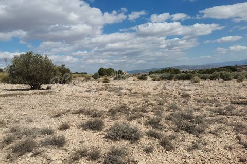 Helårsgrund i Caudete, Albacete, Caudete - € 35.000 | Ref: SF0388 - foto 10